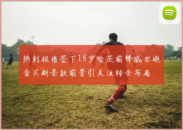 热刺租借签下18岁哈茨前锋威尔逊含买断条款前景引关注转会布局