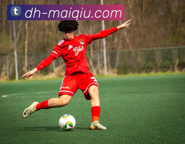 足球买球APP下载品牌故事